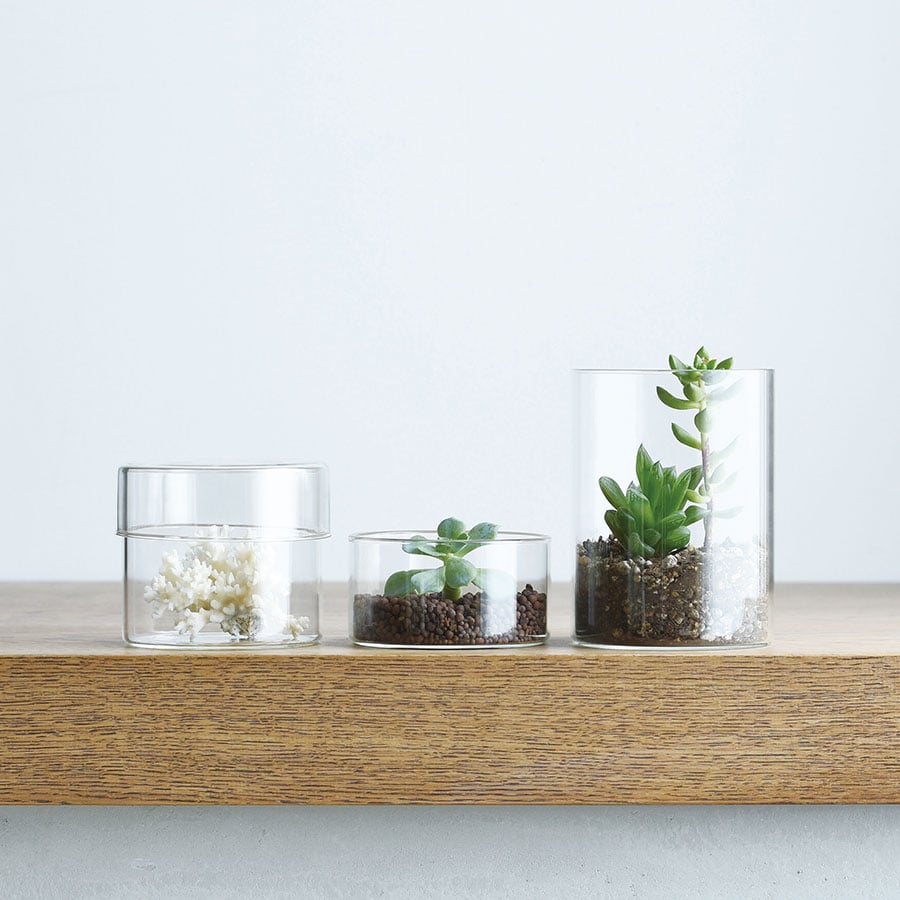  KINTO SCHALE GLASS CASE 100X55MM / 4X2IN  CLEAR 2