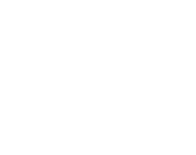 NEW STORE LOGO