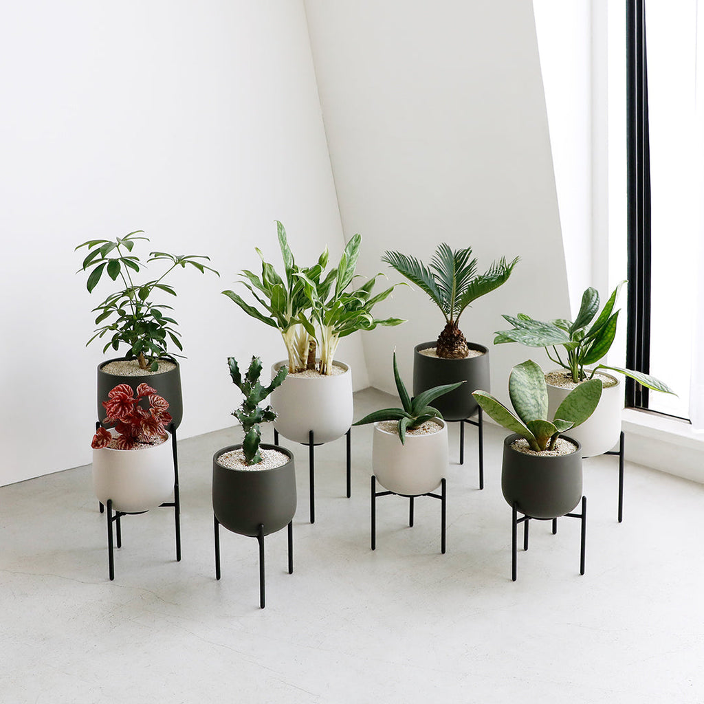  KINTO PLANT POT 211_ 135MM  EARTH GRAY 1